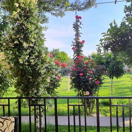 Room With Private Garden Σκόδρα Εξωτερικό φωτογραφία