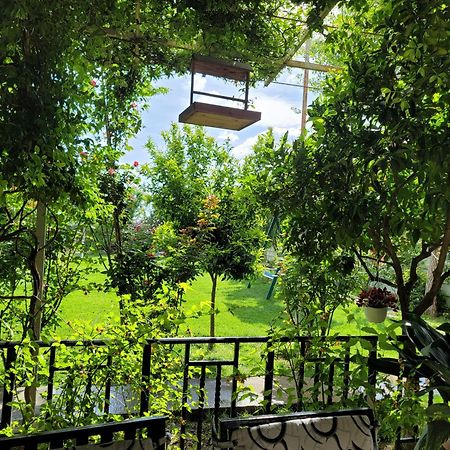 Room With Private Garden Σκόδρα Εξωτερικό φωτογραφία