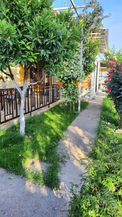 Room With Private Garden Σκόδρα Εξωτερικό φωτογραφία